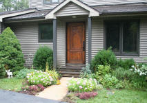Mahogany carved door