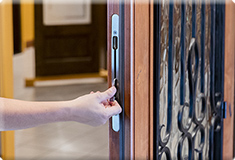 astragal mortise locks